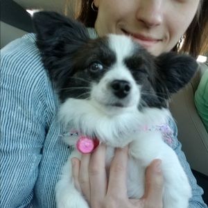 Meet your Posher, Barbara